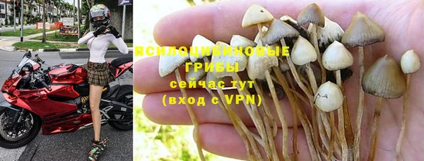 прущая мука Горняк