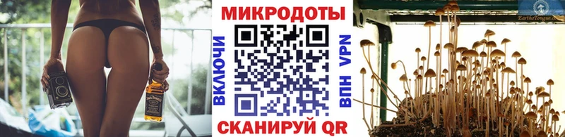 Галлюциногенные грибы прущие грибы  дарнет шоп  Знаменск 